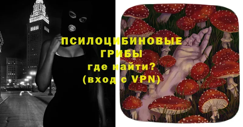 Псилоцибиновые грибы Magic Shrooms  купить   Дмитров 